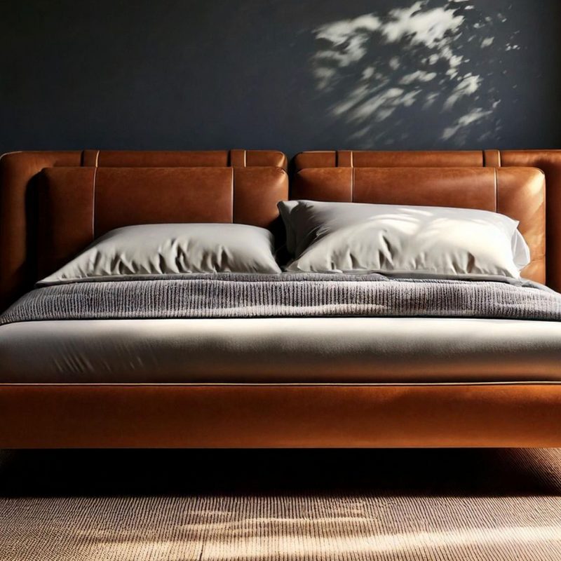 Clasio Modern Luxury Bed With Storage