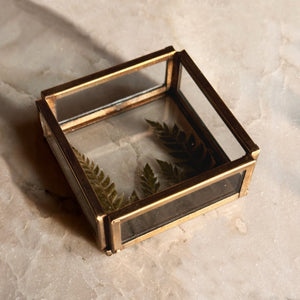 Fern Glass Tray - Wooden Empiro