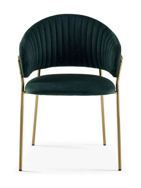 Roma Modern Luxury Metal Dining Chair