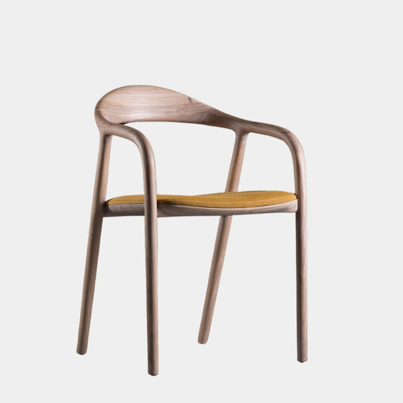 Stylish and Modern Wooden Dining Chair