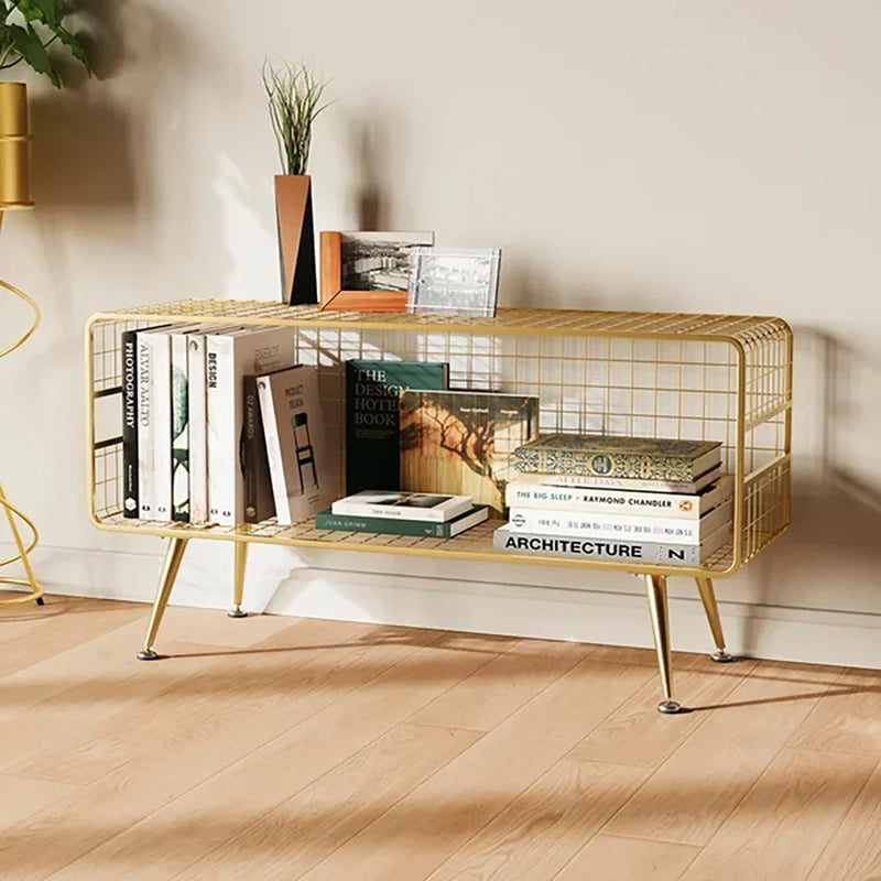 Mesha Modern Metal Mesh Bookshelf In Gold