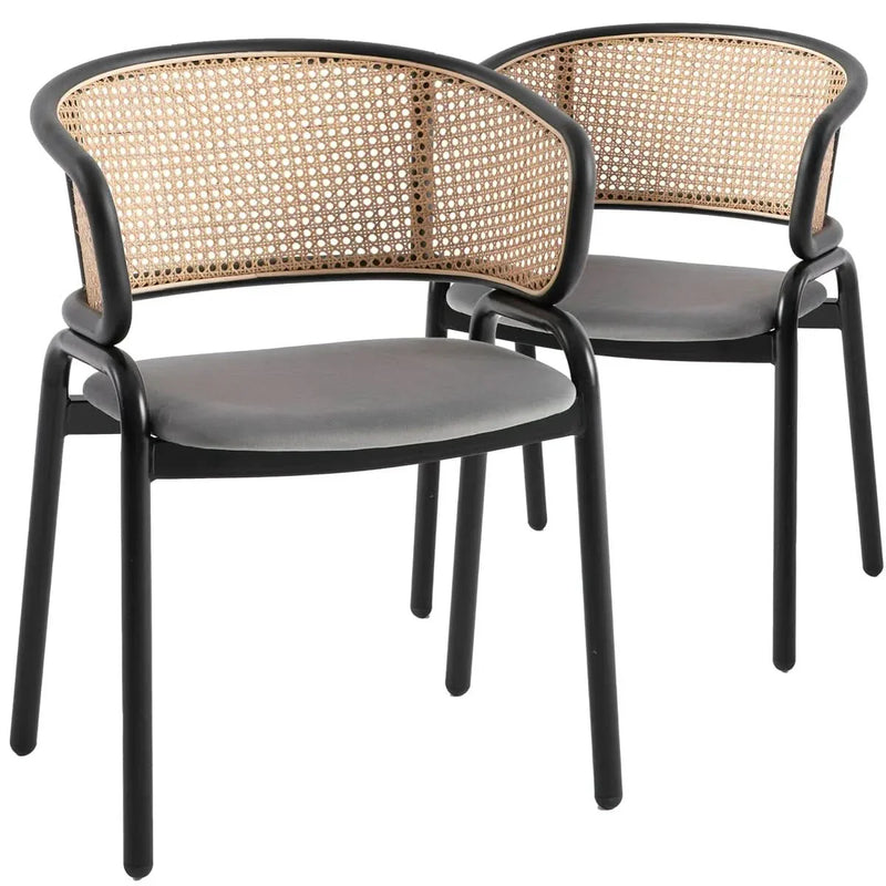Dining Chair With Stainless Steel Legs Velvet Seat (Set of 2)