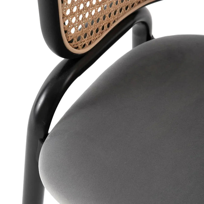 Dining Chair With Stainless Steel Legs Velvet Seat (Set of 2)
