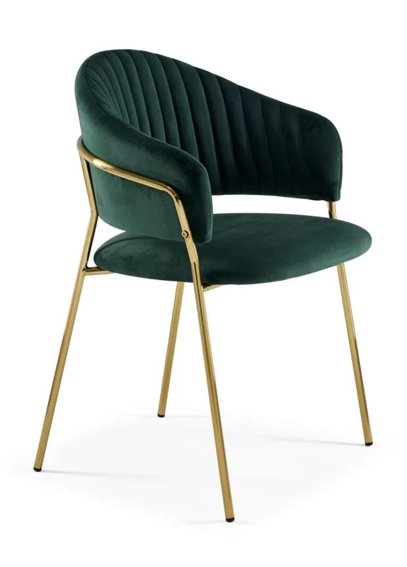 Roma Modern Luxury Metal Dining Chair